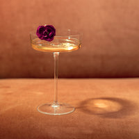 16 cl - Zafferano Sam Copa Cocktail Martini En Vidrio Set de 4 Pzas