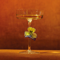 16 cl - Zafferano Sam Copa Cocktail Martini En Vidrio Set de 4 Pzas