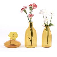 Three transparent amber glass vases with three different flowers: yellow, pink with red edge and white on white background.