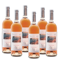 Bottiglie di vino rosato, etichetta "Costa d'Amalfi", con un'immagine di paesaggio marittimo, in un contesto ordinato.