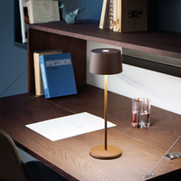 Lampada da tavolo marrone in metallo con base rotonda su scrivania in legno scuro con libri, bicchiere d'acqua e disegno.