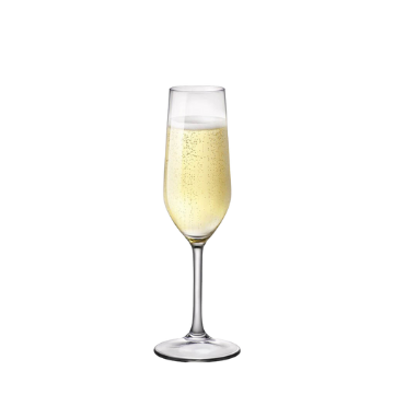 Calice di vetro trasparente con champagne frizzante di colore giallo chiaro con bollicine, sfondo bianco.