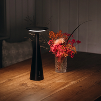 Schwarze kegelförmige Lampe mit weißem Licht auf Holztisch mit transparenter Glasvase mit rosa und orangefarbenen Trockenblumen