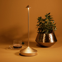 Golden table lamp with conical base and shade flanked by green plant in hammered golden vase and glass cup with coffee on