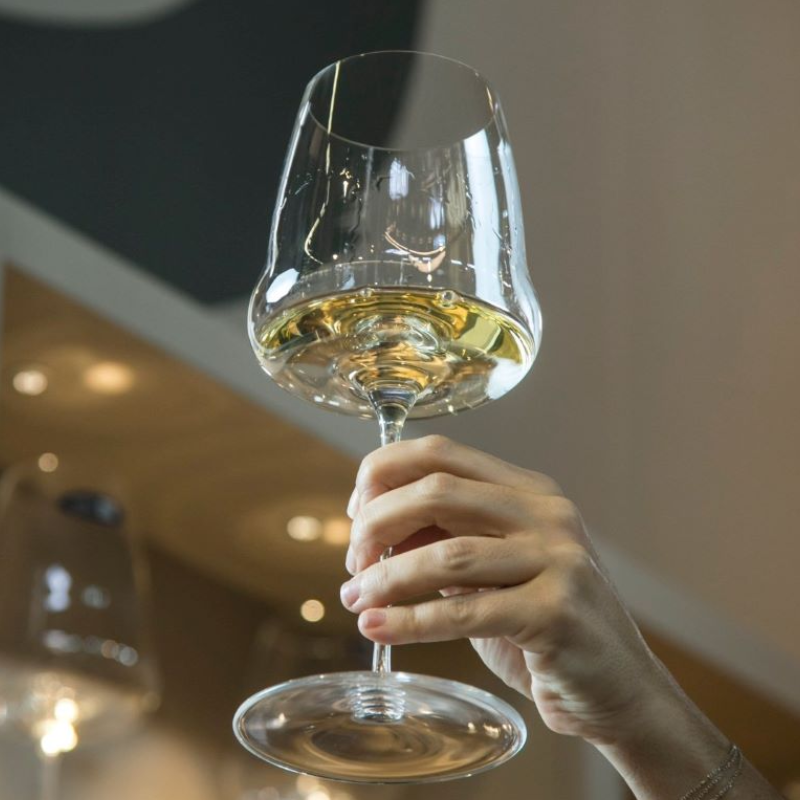 Light white wine glass in transparent glass with thin stem held by female hand on background