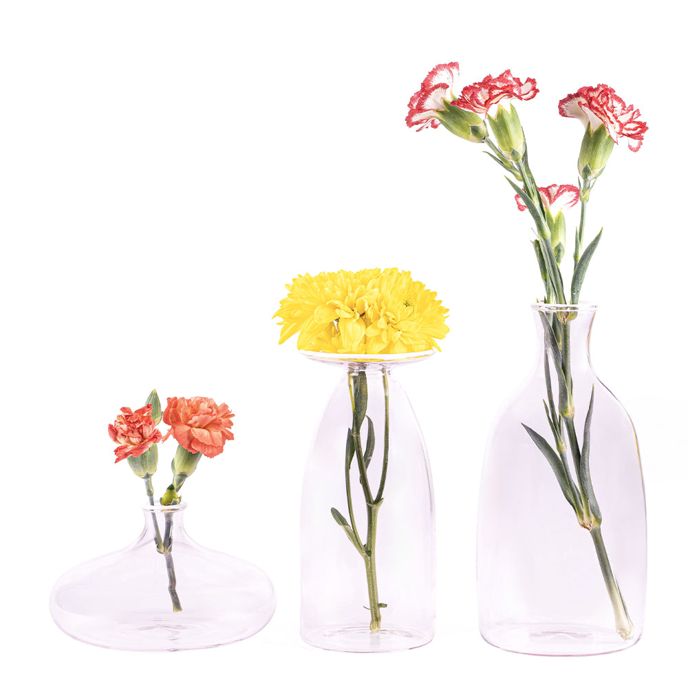 Three transparent glass vases with flowers in red, yellow and white with red edges, on white background.