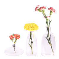 Trois vases transparents en verre avec fleurs, deux avec œillets roses et un avec marguerites jaunes, fond blanc.